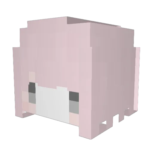 ownedbyBALL Minecraft avatar head, 3D render