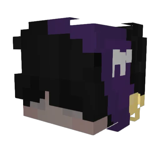 owner___ Minecraft avatar head, 3D render