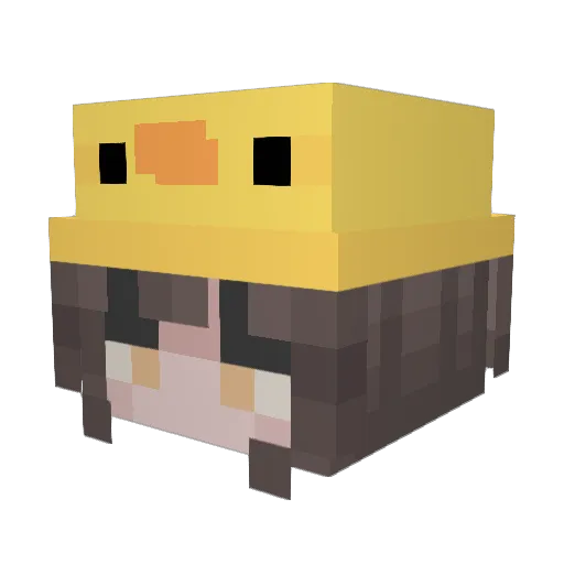 owo1116 Minecraft avatar head, 3D render