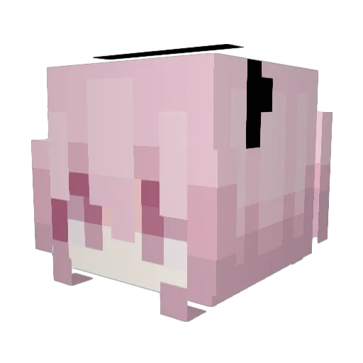 owo_rose Minecraft avatar head, 3D render