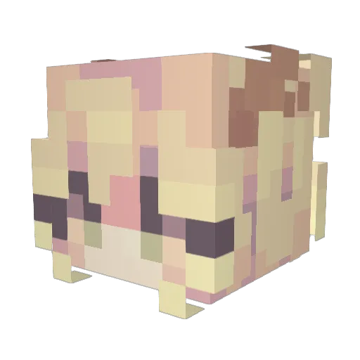 owtoefisher Minecraft avatar head, 3D render