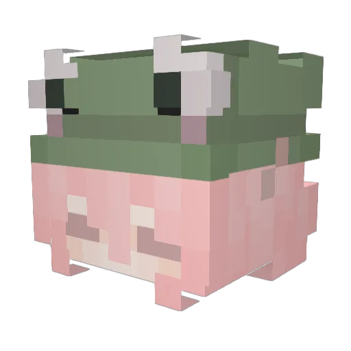 ox0o0xo Minecraft avatar head, 3D render