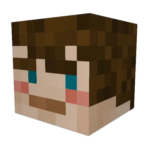 ox2501 Minecraft avatar head, 3D render