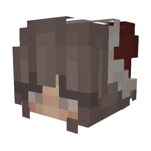 oxibee Minecraft avatar head, 3D render