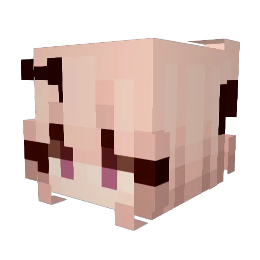 oxidienne Minecraft avatar head, 3D render