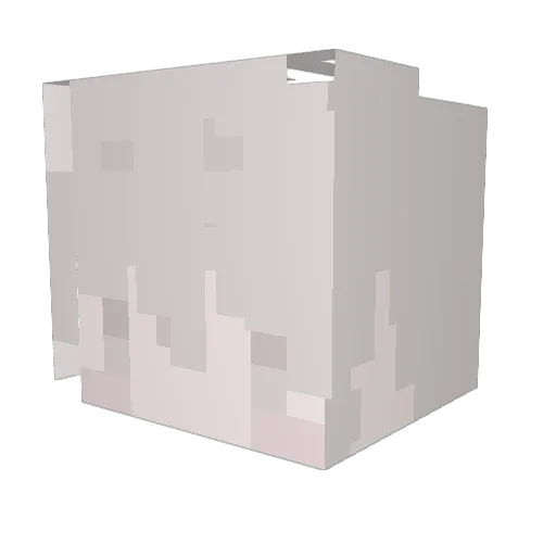 oxo_x00 Minecraft avatar head, 3D render