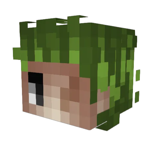 oxr4 Minecraft avatar head, 3D render