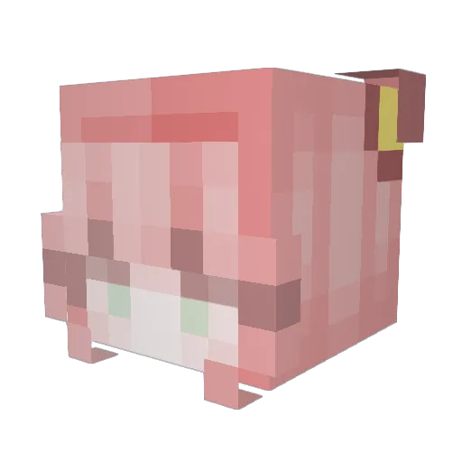 oxxMARYxxo Minecraft avatar head, 3D render