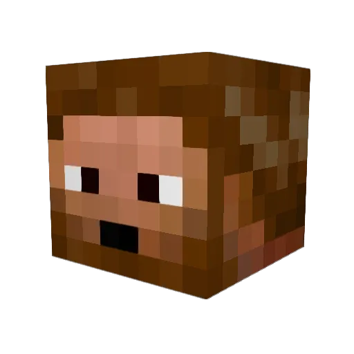 oxydan Minecraft avatar head, 3D render
