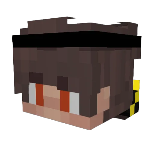 oxydoxyyy Minecraft avatar head, 3D render