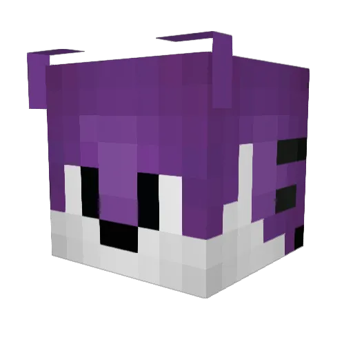 oyilla Minecraft avatar head, 3D render