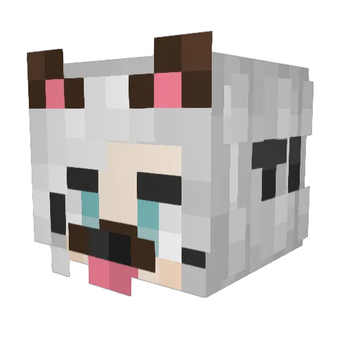 oyzinho Minecraft avatar head, 3D render