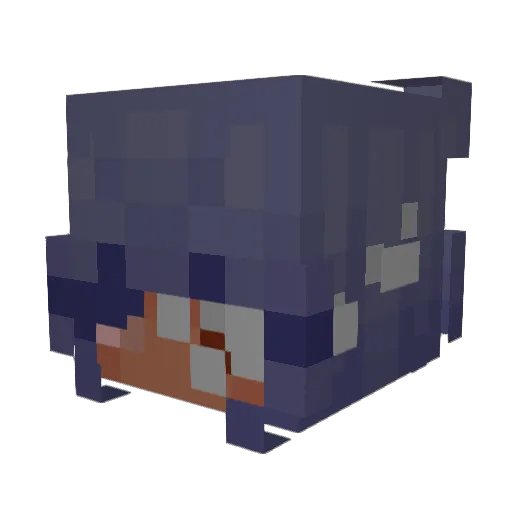 ozannedied Minecraft avatar head, 3D render
