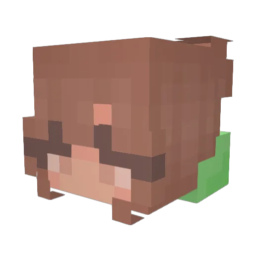 ozoeo Minecraft avatar head, 3D render
