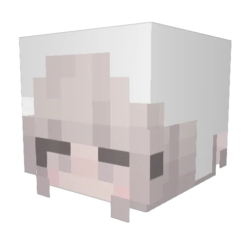 ozwon Minecraft avatar head, 3D render