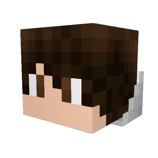 ozword2957 Minecraft avatar head, 3D render