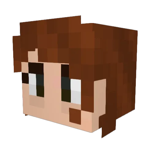 ozz1ebeans Minecraft avatar head, 3D render