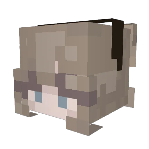 p00prawna Minecraft avatar head, 3D render