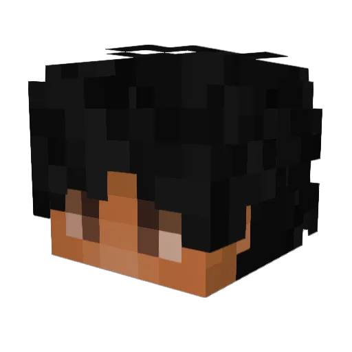 p0coyo1 Minecraft avatar head, 3D render