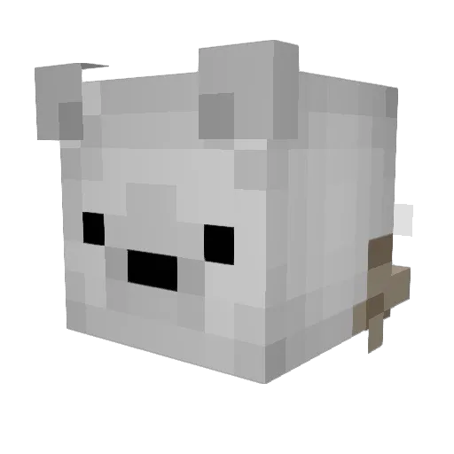 p0g_fr0g Minecraft avatar head, 3D render