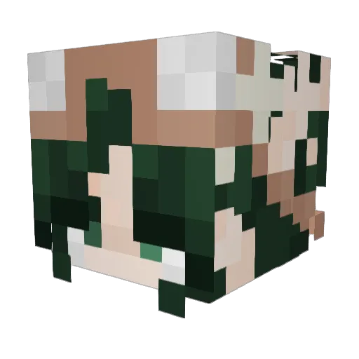 p0ggies Minecraft avatar head, 3D render