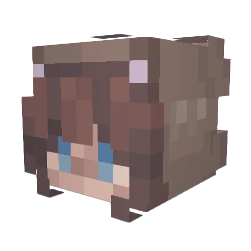 p0ltoraczek Minecraft avatar head, 3D render