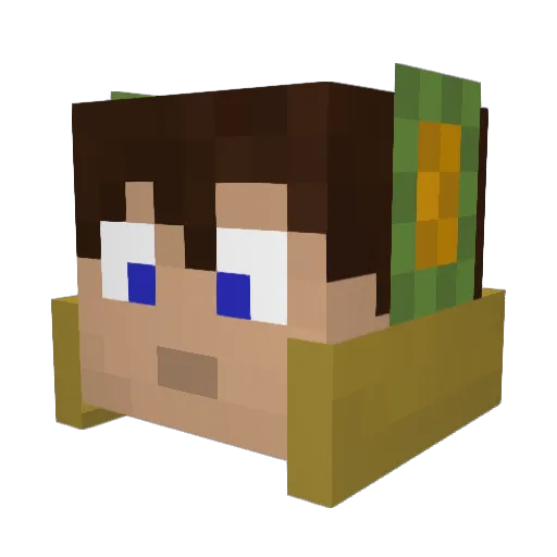 p0ochie Minecraft avatar head, 3D render