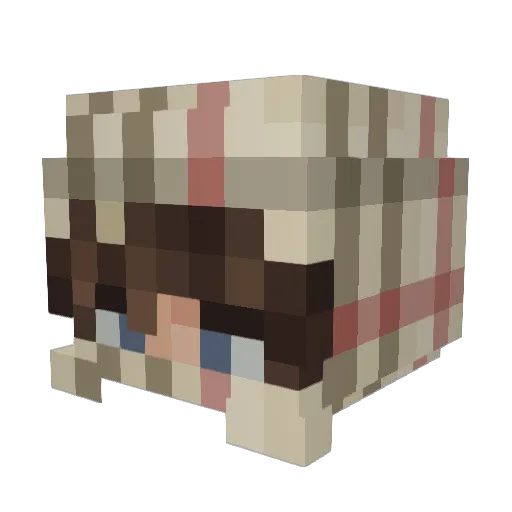 p0pa17 Minecraft avatar head, 3D render