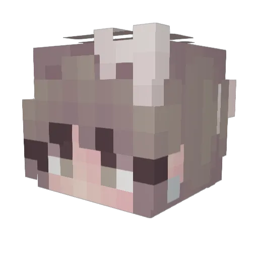 p0tat0_ch1ps Minecraft avatar head, 3D render