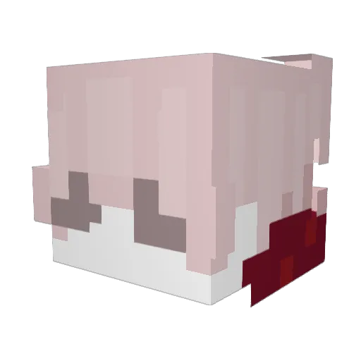 p0ufelizz Minecraft avatar head, 3D render