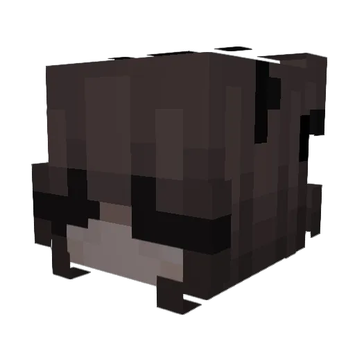p0ufskittenuwu Minecraft avatar head, 3D render