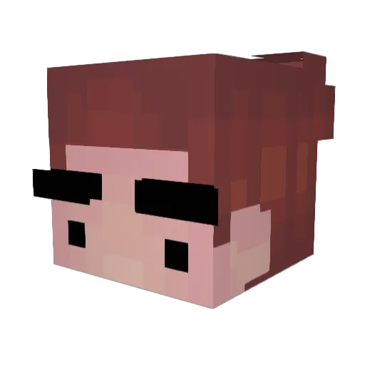 p17_ Minecraft avatar head, 3D render