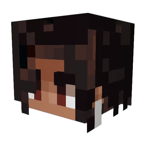 p1at5na Minecraft avatar head, 3D render