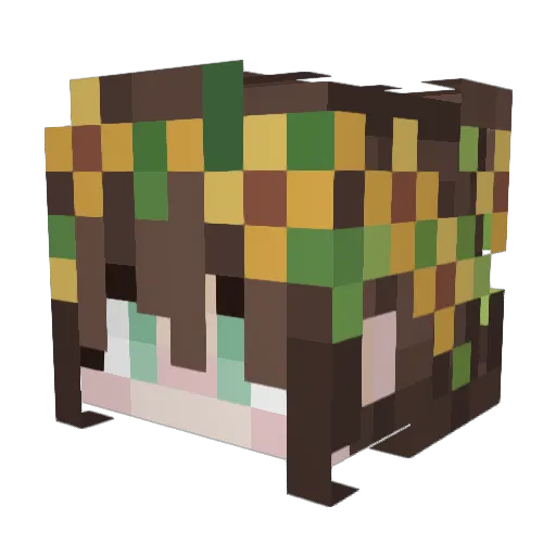 p1gl3t Minecraft avatar head, 3D render
