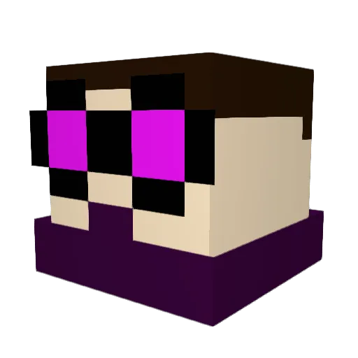 p1glet9 Minecraft avatar head, 3D render