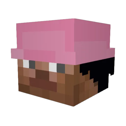 p1glin Minecraft avatar head, 3D render