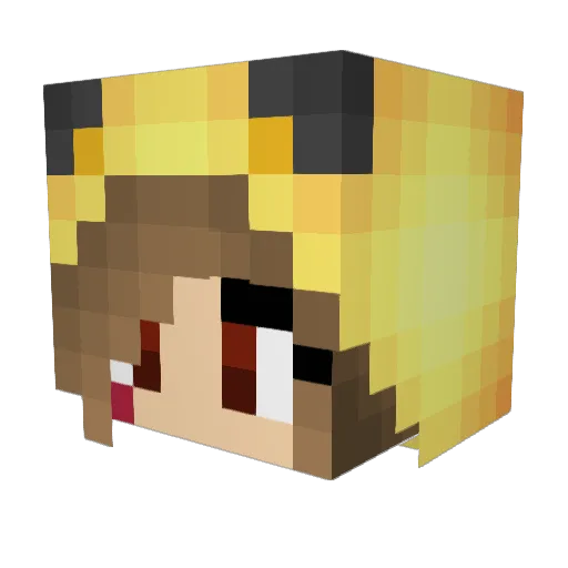 p1kaleo Minecraft avatar head, 3D render