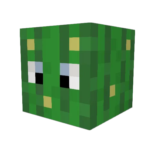 p1ncer Minecraft avatar head, 3D render