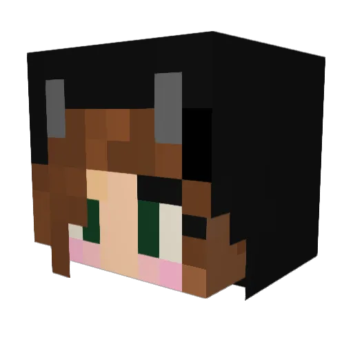 p1nkood Minecraft avatar head, 3D render