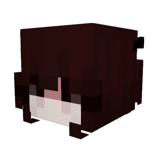p1ssw1zz Minecraft avatar head, 3D render