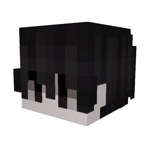 p2welz Minecraft avatar head, 3D render