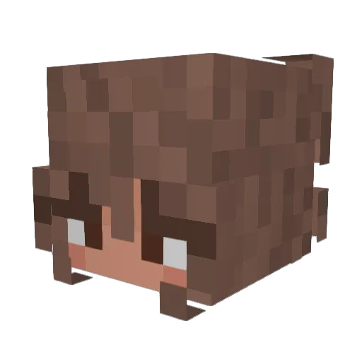 p3bbl3ess Minecraft avatar head, 3D render