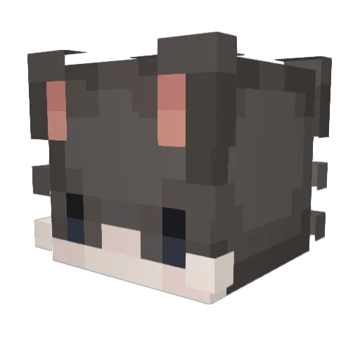p3n_2 Minecraft avatar head, 3D render