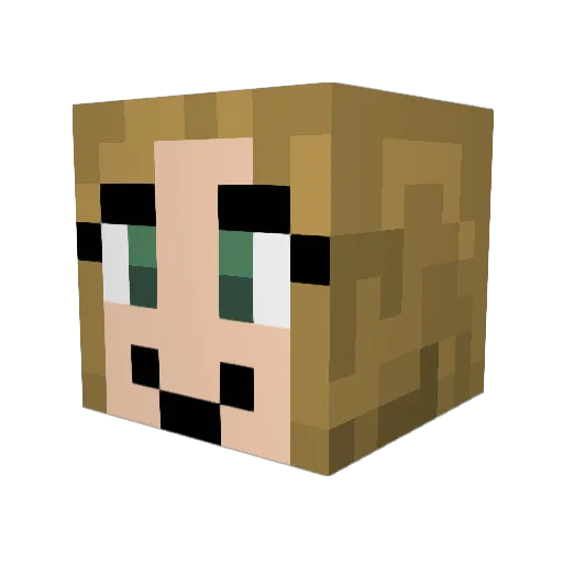 p3nguin528 Minecraft avatar head, 3D render