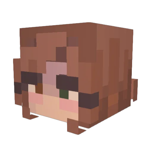 p3nn1 Minecraft avatar head, 3D render