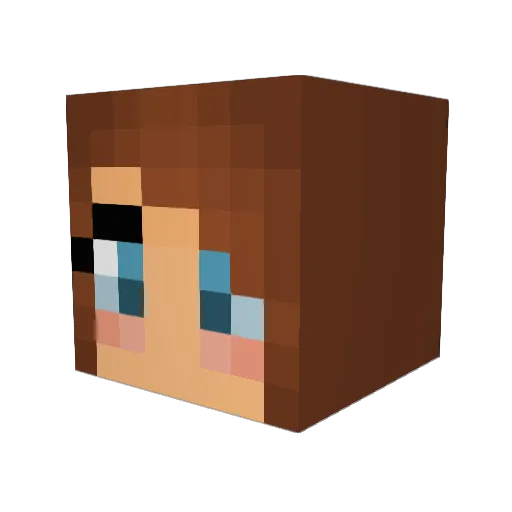 p3nnylan3 Minecraft avatar head, 3D render