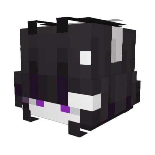 p3pperm1nts Minecraft avatar head, 3D render