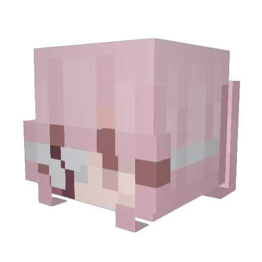 p4cc Minecraft avatar head, 3D render