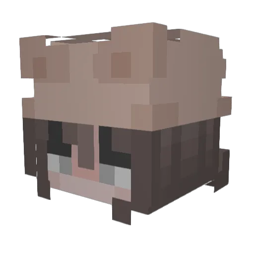 p4me1a Minecraft avatar head, 3D render