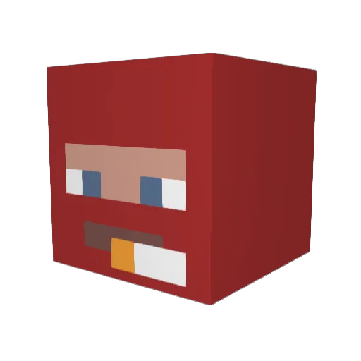 p4ndaFF Minecraft avatar head, 3D render